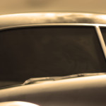 cropped-nose2a.jpg